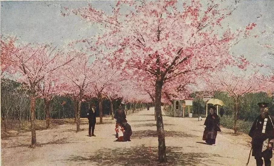 青岛城市记忆公园,青岛十景图片