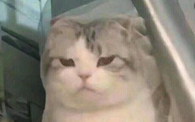 招聘骗局网站,招聘网站的骗术