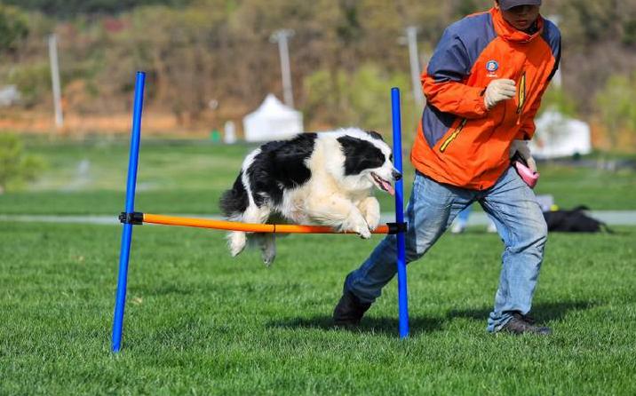 超长记录亲子牧场一日游,暑期草原亲子游攻略