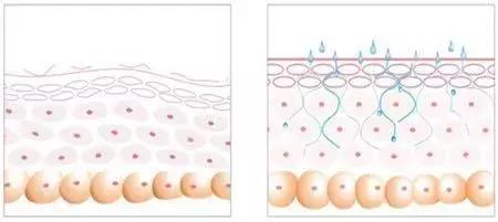 30+平价好用的眼霜推荐,眼霜30元推荐