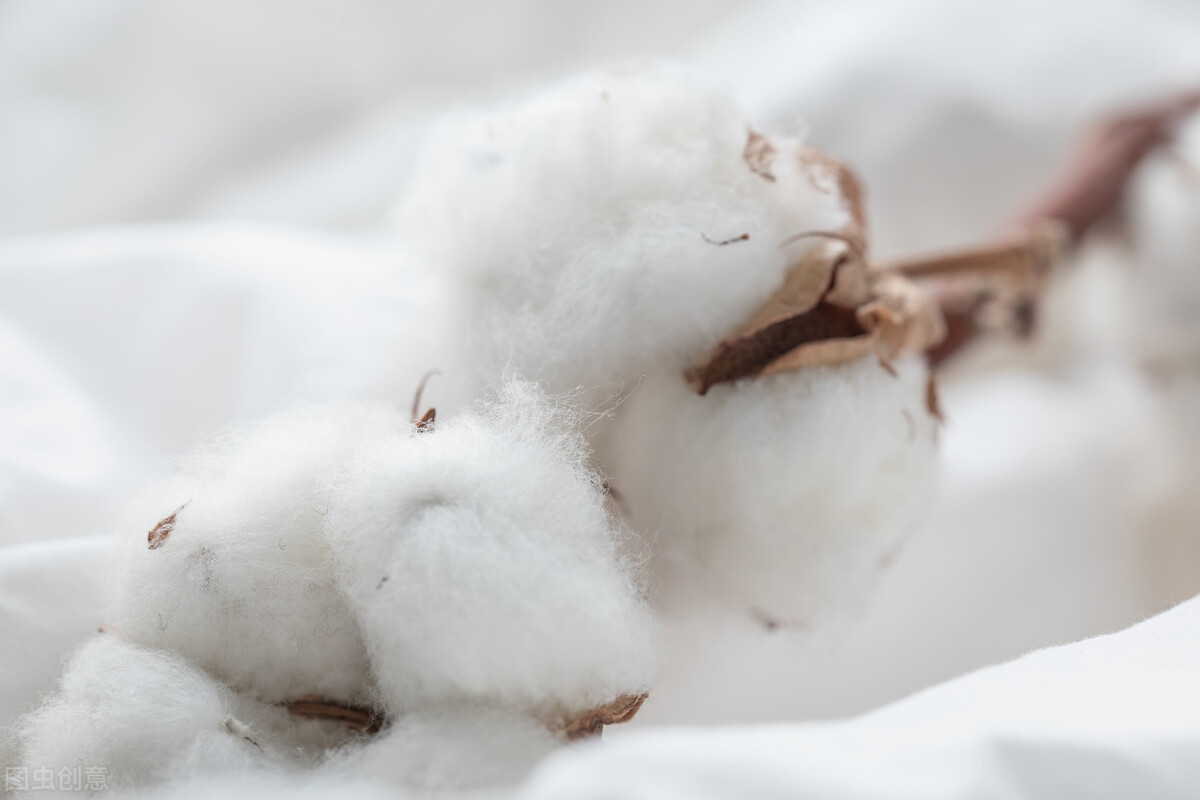 “中国人*制抵**不了多久”遭国人*制抵**的乐天仍在幸灾乐祸，多么讽刺