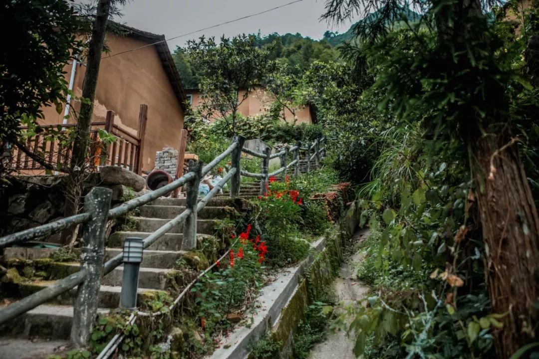 金华小九寨风景区,小九寨原始森林半日游