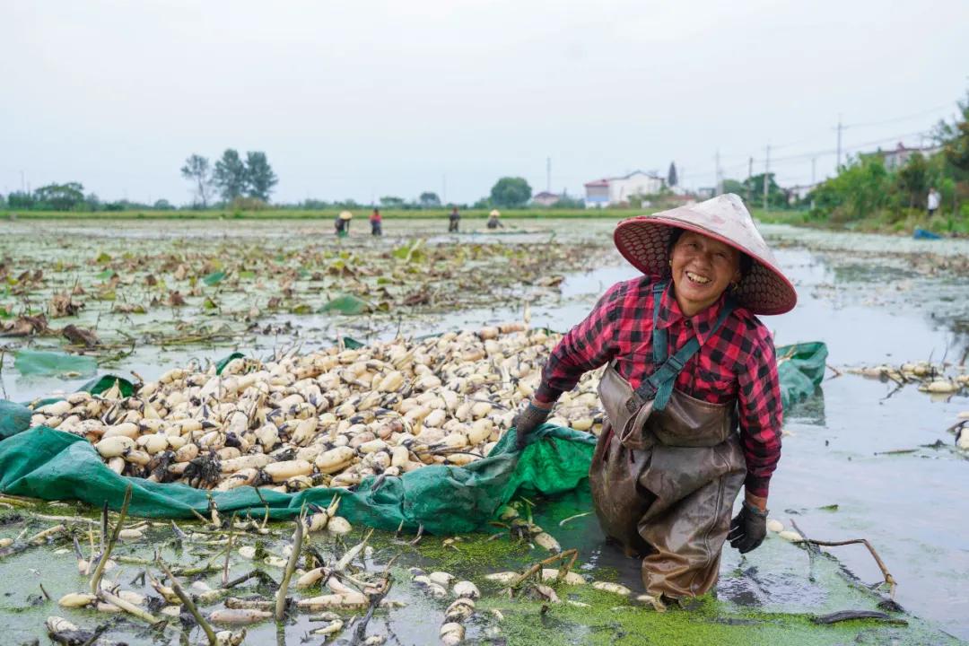 海安，魂牵梦绕是故乡——致天下海安人