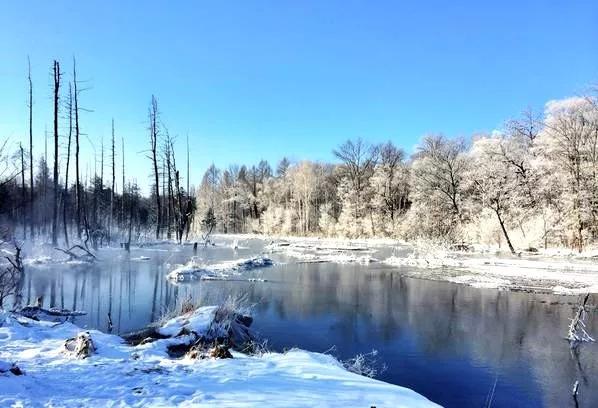 此生必去看一次雾凇太美了,此生必去看一次雾凇简直要美哭了