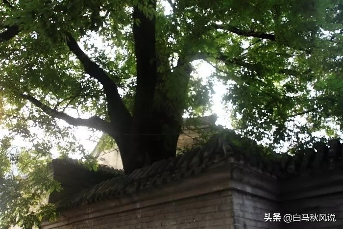 老北京胡同与小资情调之南锣鼓巷,北京南锣鼓巷里的老胡同