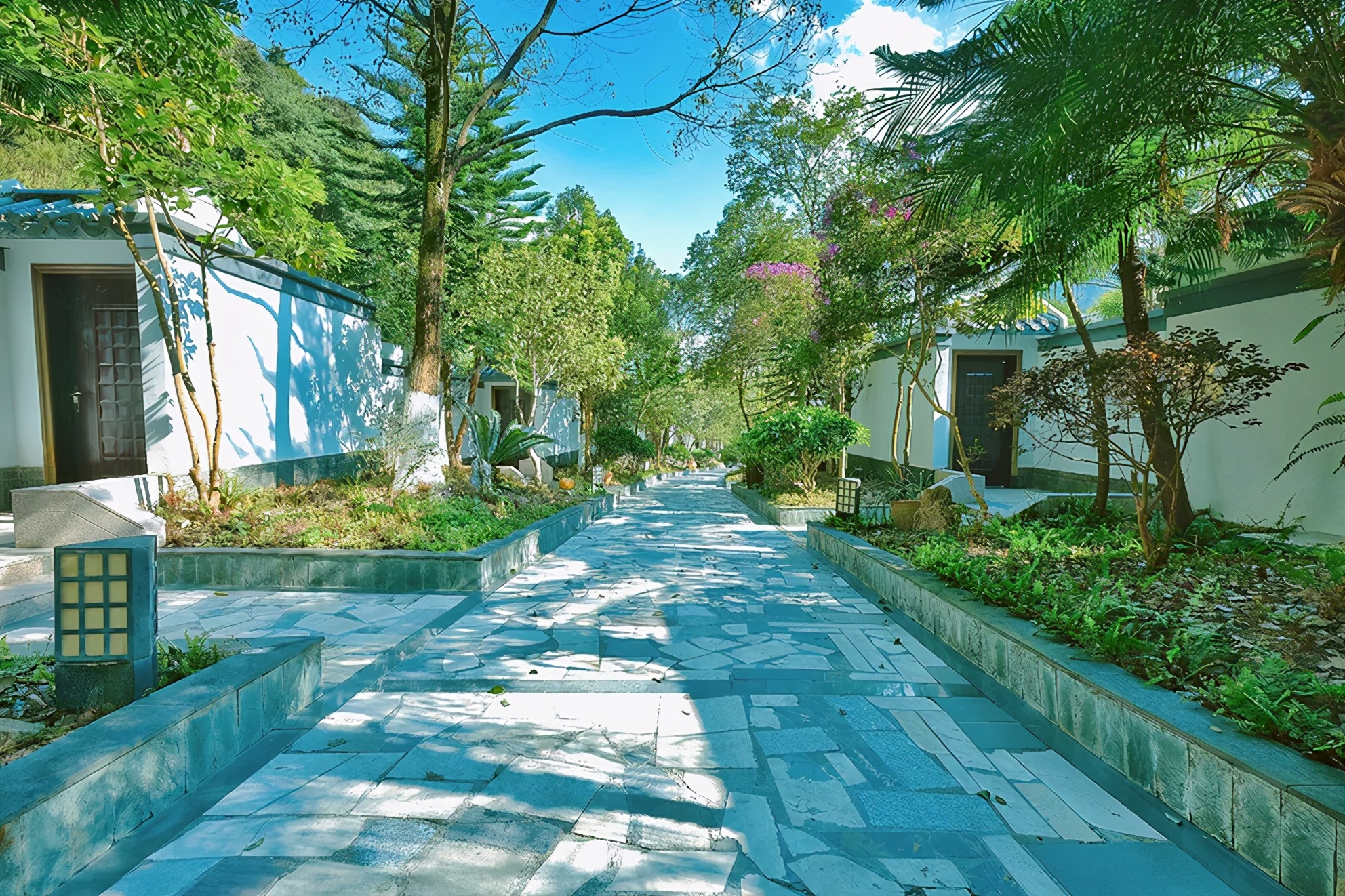 韶关新丰云天海温泉周边景点,新丰云天海原始森林温泉