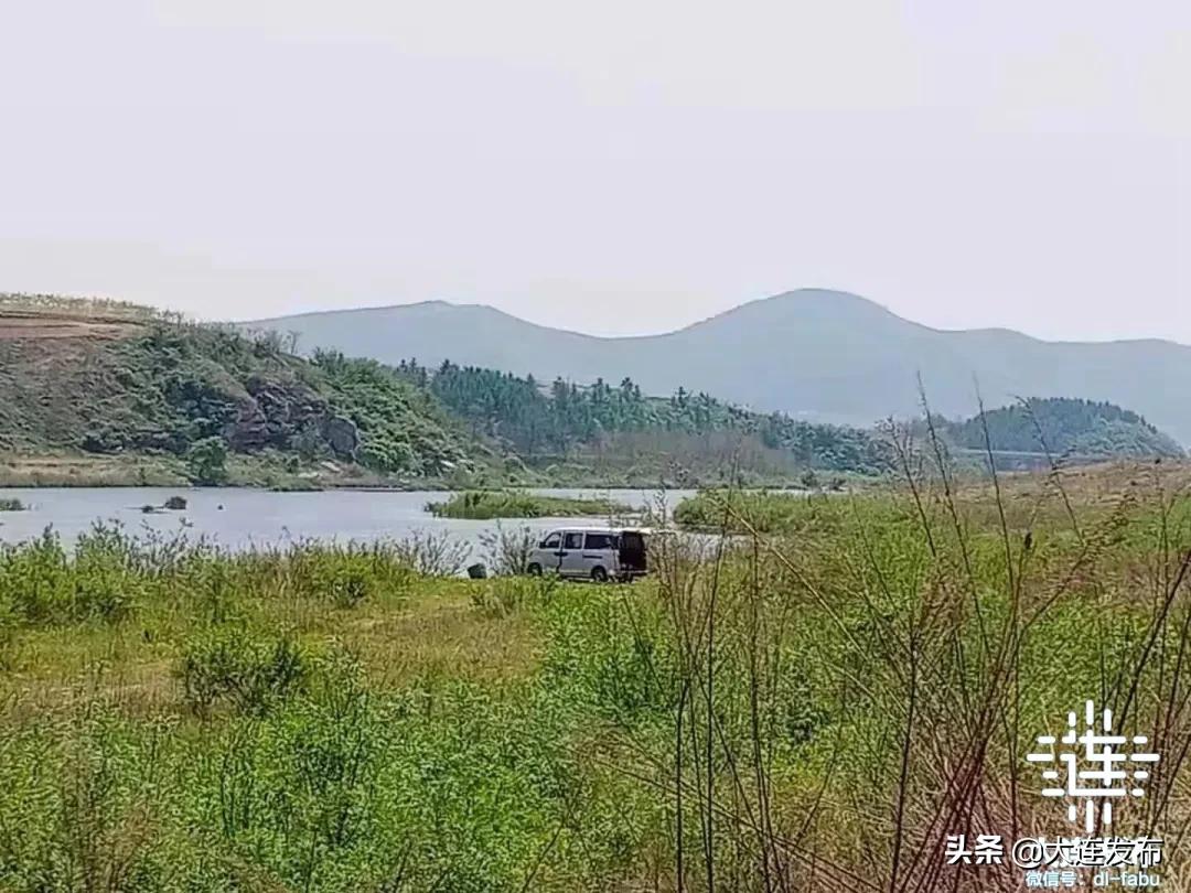 大连最美赏槐露营地,槐之乡露营地