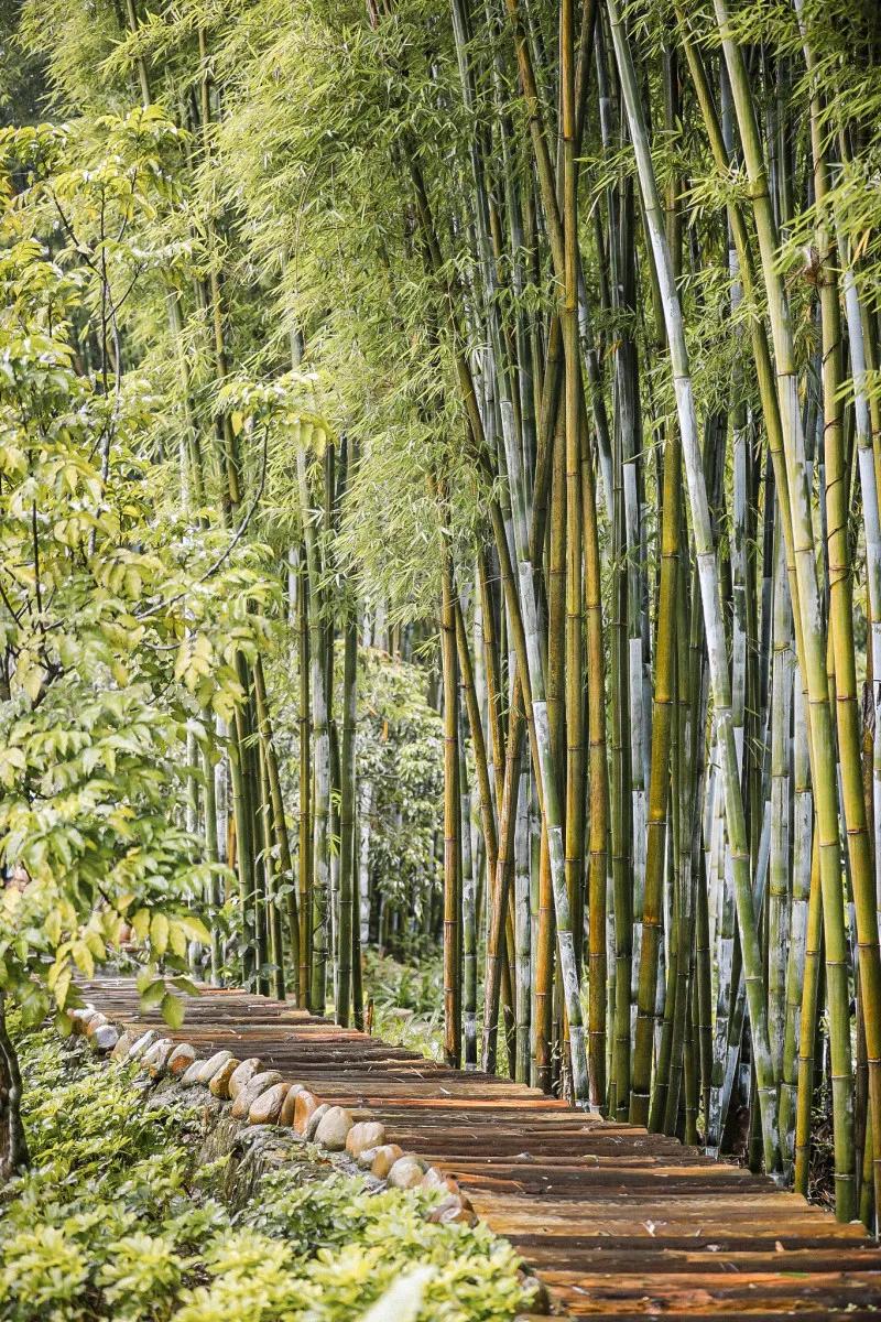 在大山深处幽静绝美的村落,深藏大山中的村落