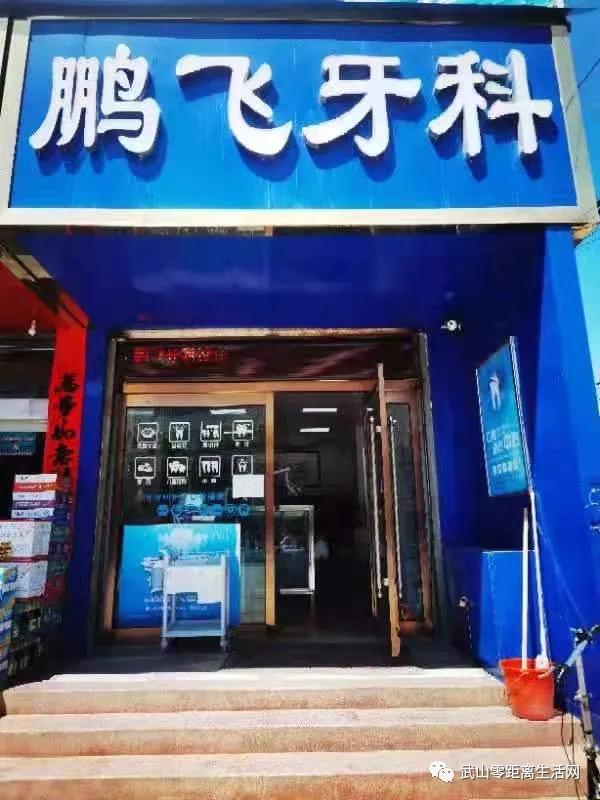 武山龙台油菜花节,湖口县武山油菜花节