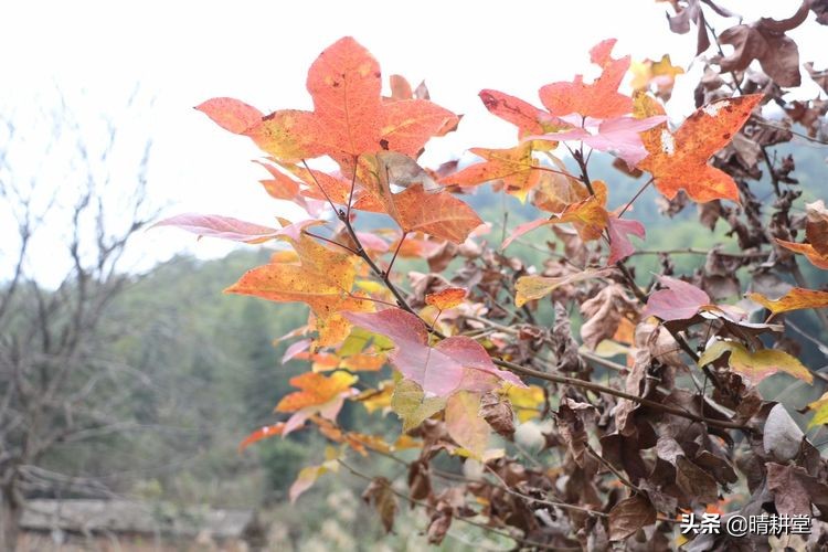 赣州峰山附近一日游自驾游景点,赣州峰山美景