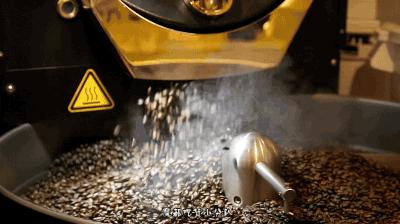 全球最大旗舰店登陆上海,只有上海才有的旗舰店