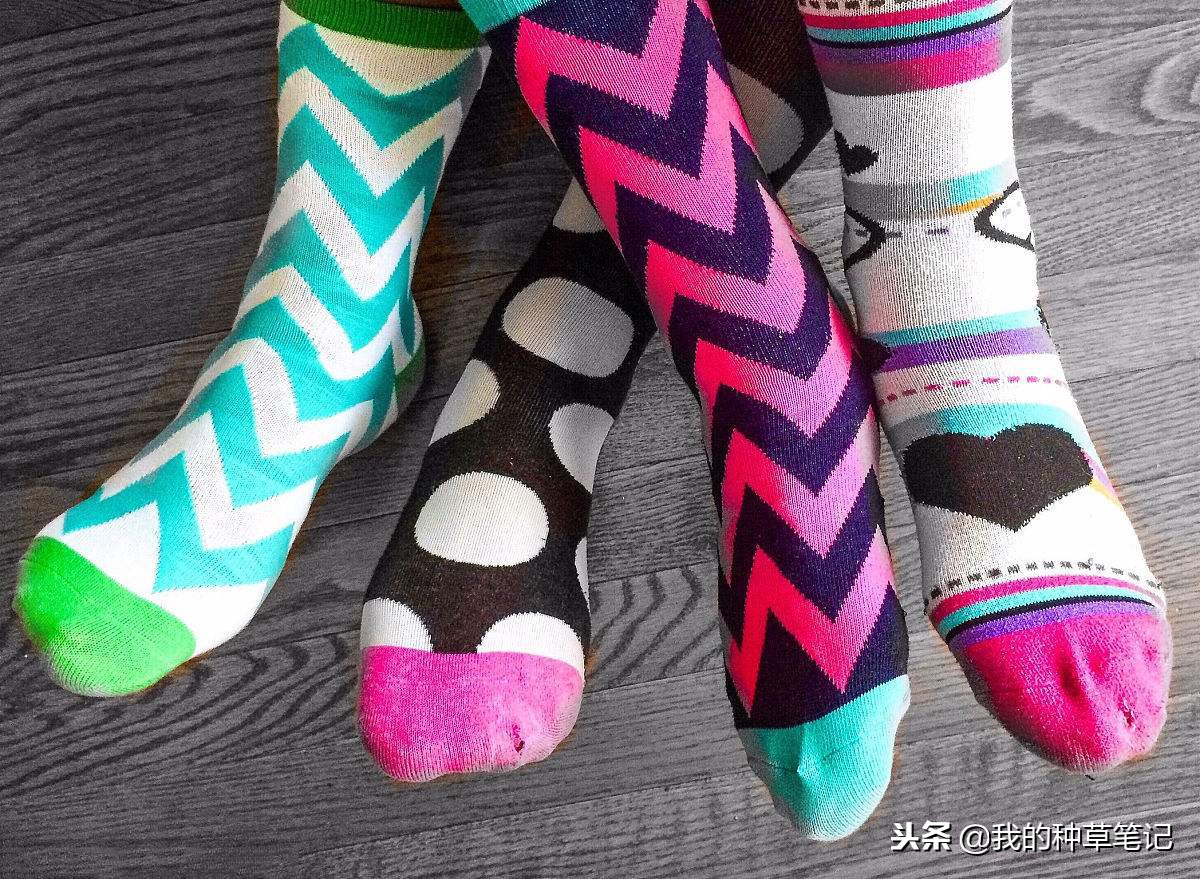 好穿又好搭潮袜,袜子也时髦让你从头潮到脚