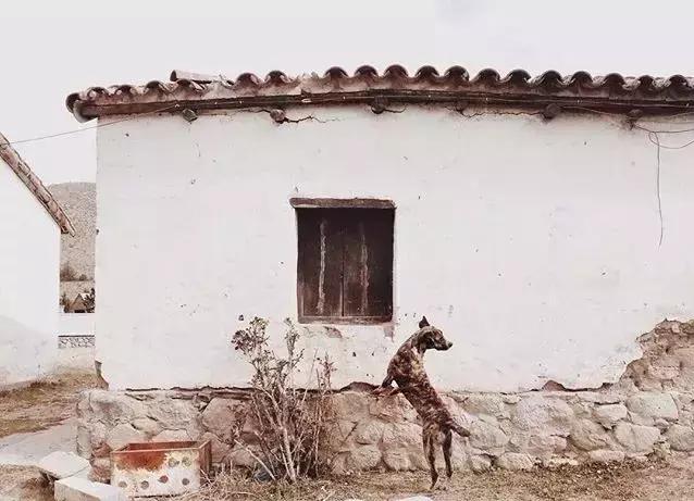 心灵鸡汤励志正能量短句名言,心灵鸡汤之励志正能量故事