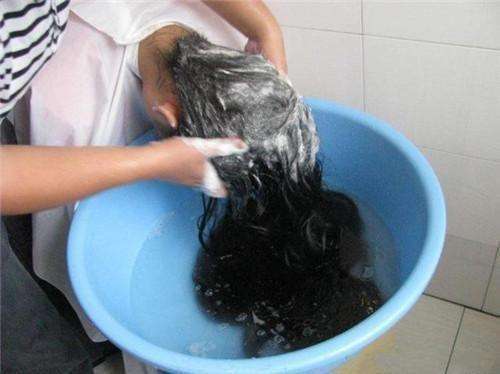 洗完头发还是油腻腻,洗发水,护发素怎么用,才最正确?