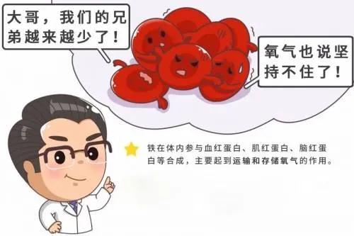 普通贫血和缺铁性贫血如何补血,缺铁性贫血与慢性贫血的鉴别方法