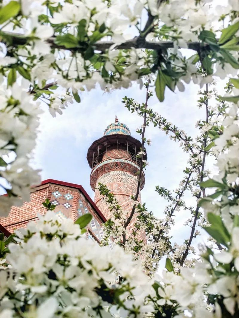 免签国家一览表2022年对中国免签,中国免签国名单2020年