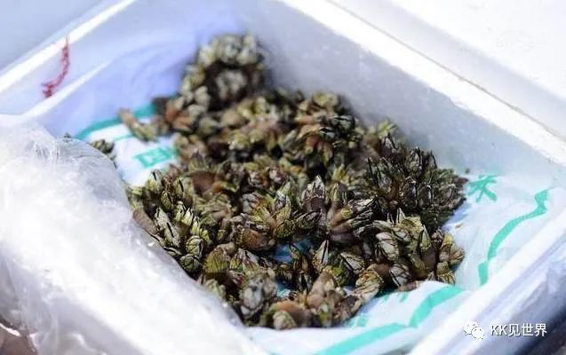 东澳岛电动车环岛旅游,珠海东澳岛徒步攻略