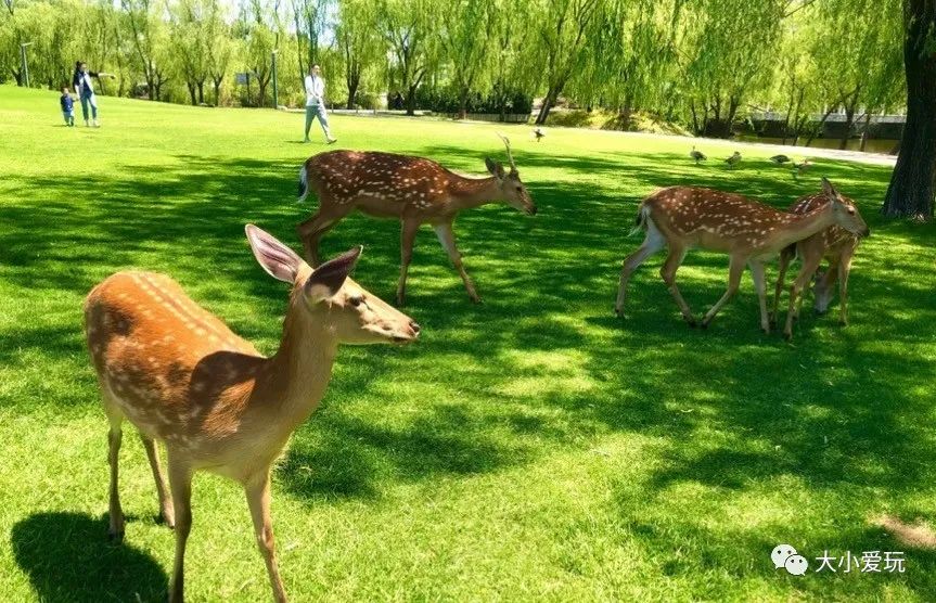 北京庄园旅游景点推荐,北京亲子庄园游玩推荐