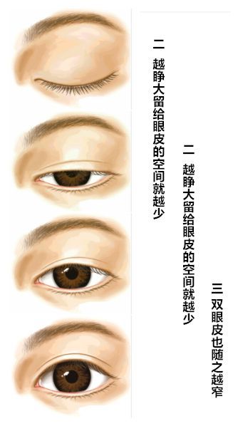 双眼皮凹陷眉毛怎么设计好看,凹眼窝适合什么眉型