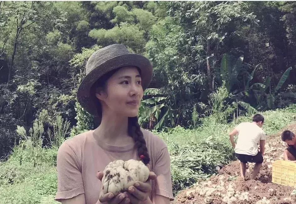 怎么制作农特产品,农特产爆款秘籍