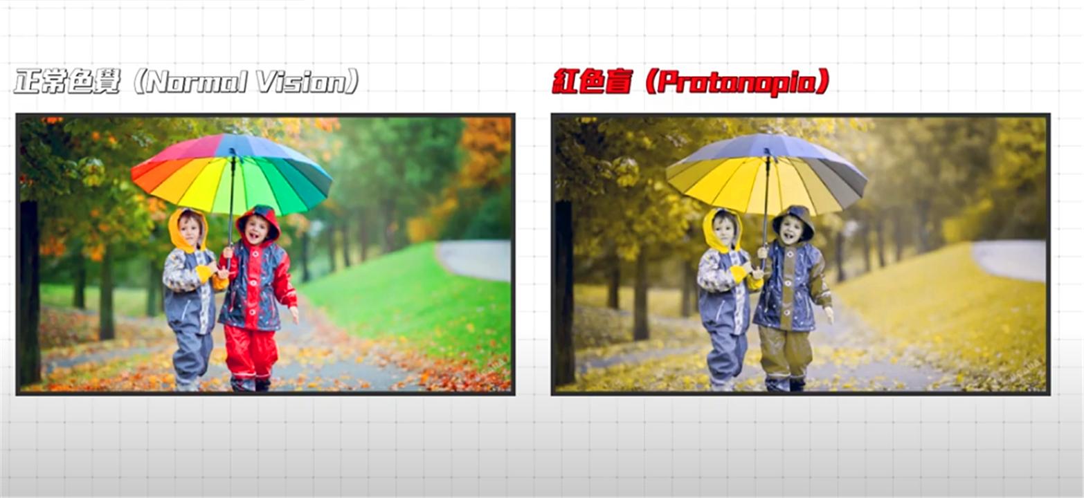色盲眼中的世界是不是真正的颜色,色盲眼里的世界是什么样子的