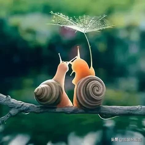 今天3月10，我的妈呀！谁编的，太好笑了，给群里乐一乐