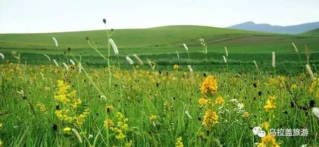 天边草原乌拉盖值得去吗,天边的草原乌拉盖美景攻略