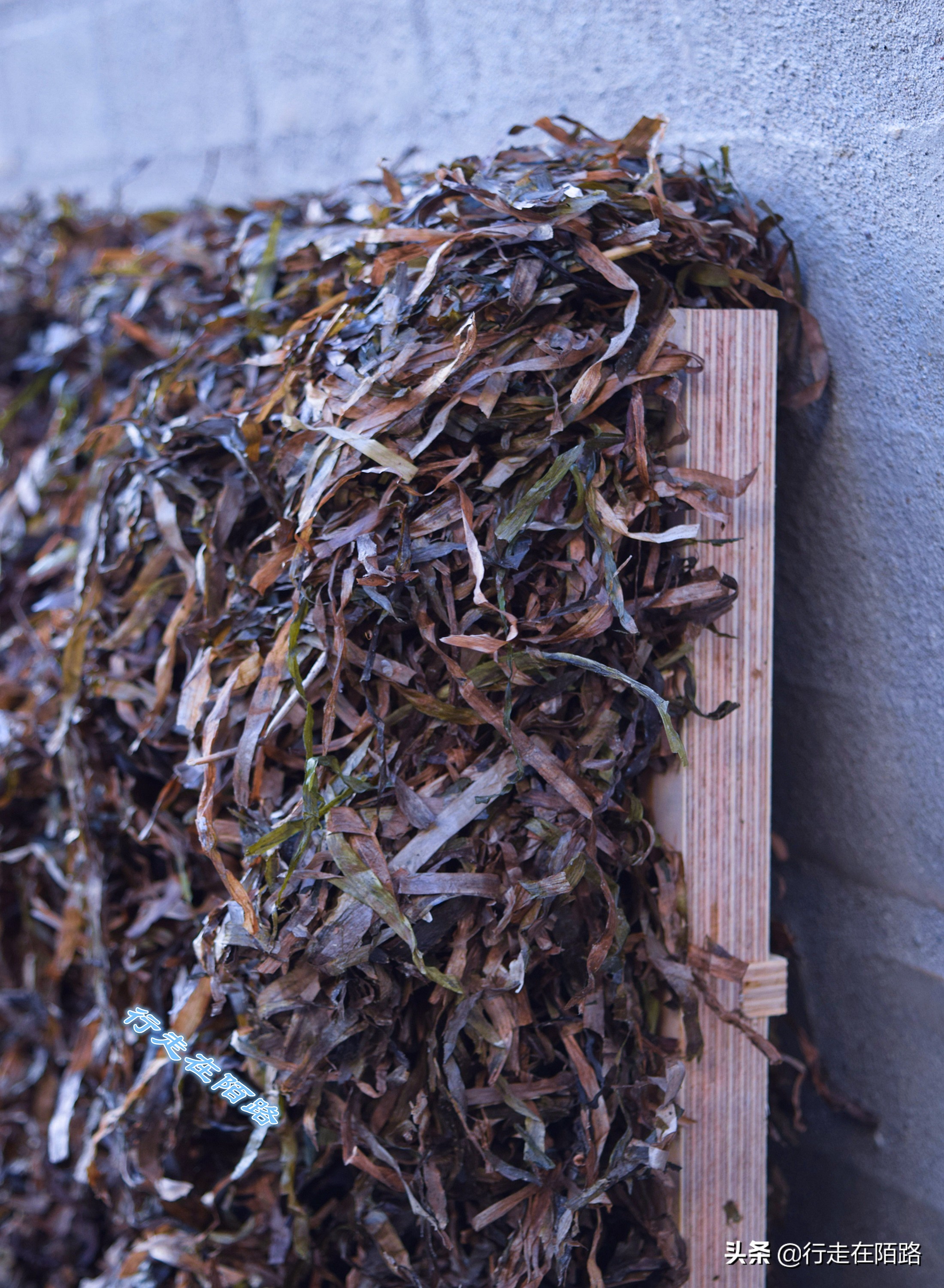 最廉价的房子,最廉价的房子建造