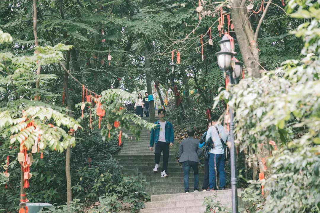 深圳这座城市很美,深圳这座城市风景太美了