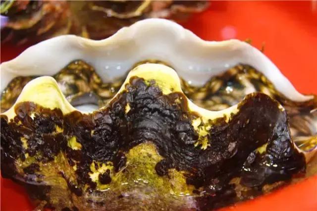 对帕劳之行的感悟,帕劳一场诗和远方的旅行