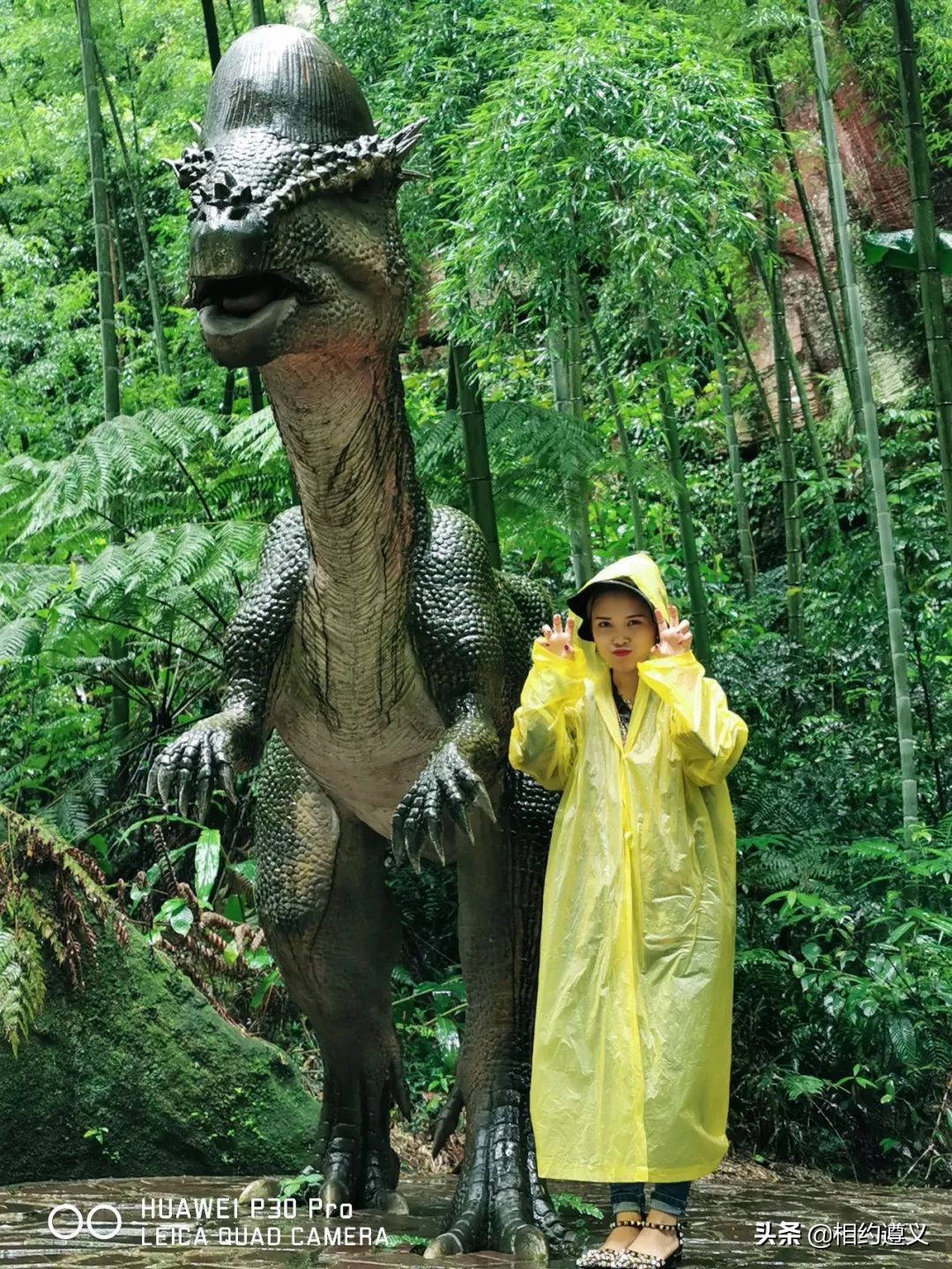 赤水大瀑布 侏罗纪公园 (贵州赤水侏罗纪公园攻略)