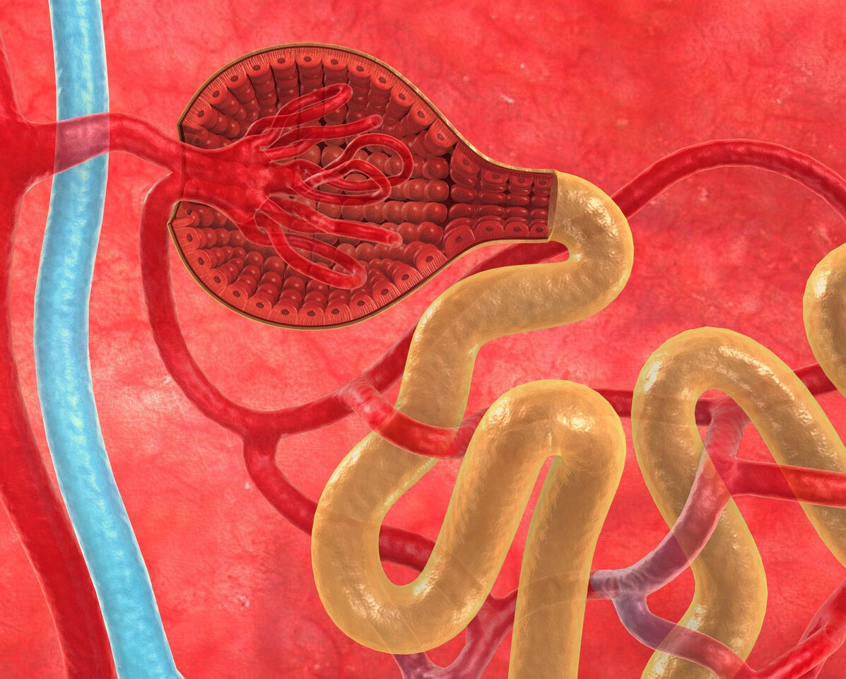 体检出现尿隐血需要复查吗,体检发现尿隐血一个加号