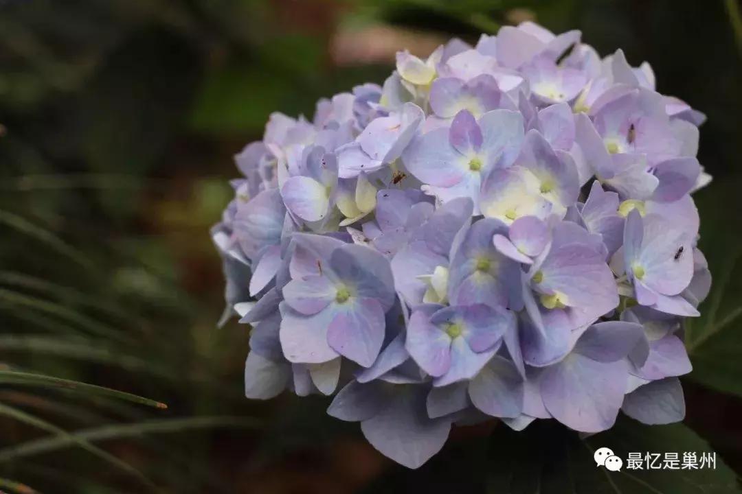 王国祥:我的母亲