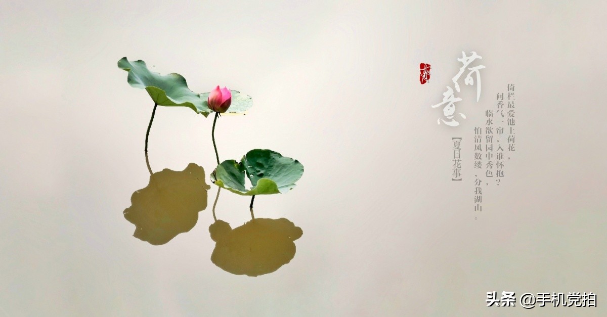 手机图片复古印章制作,给照片加复古小印章