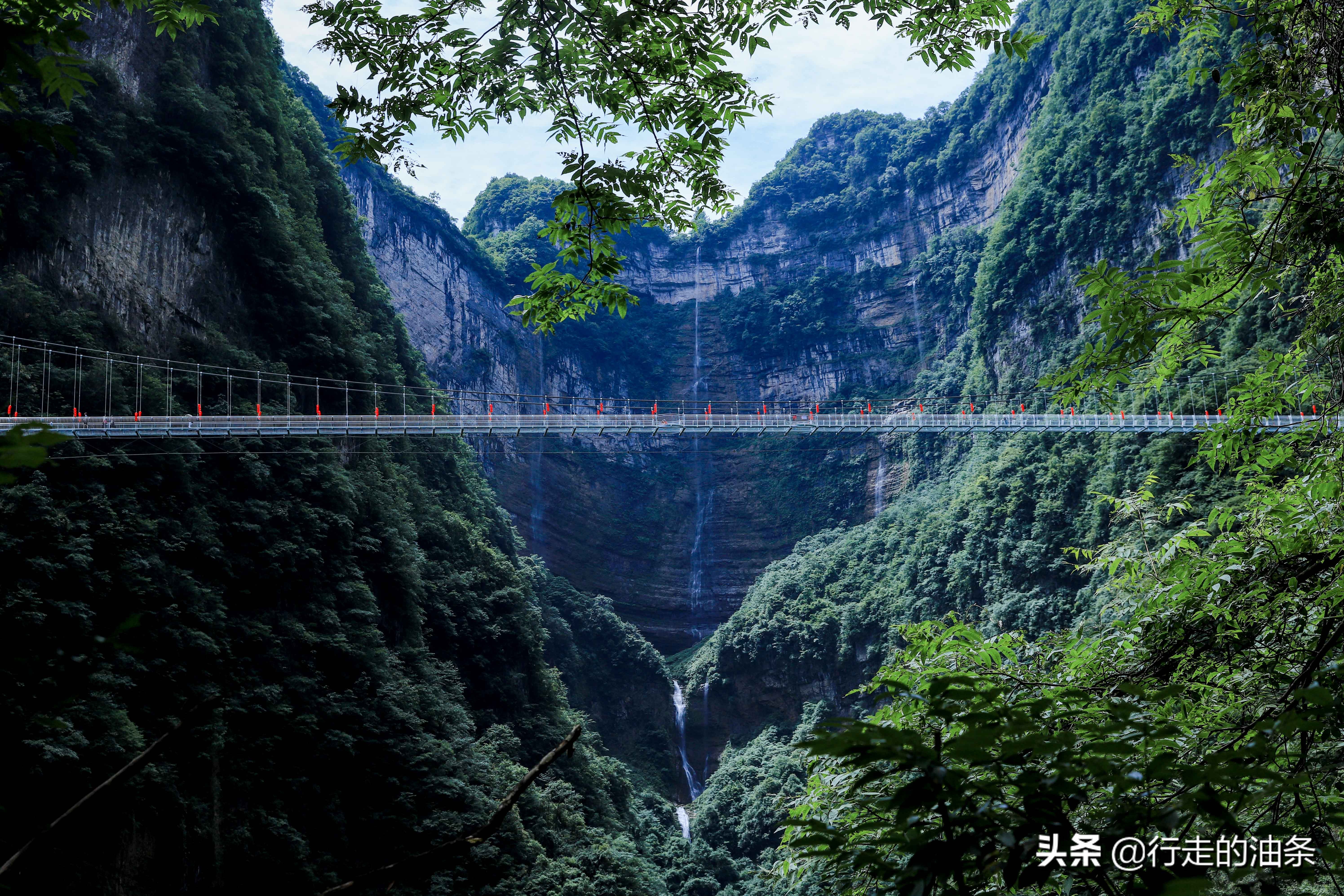 三峡竹海秭归,秭归三峡竹海