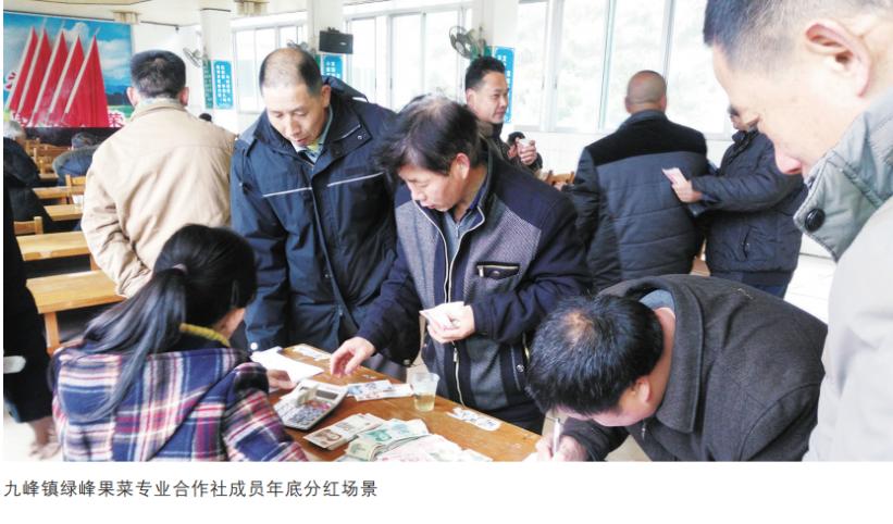 规范聚合力创新促发展——韶关乐昌市九峰镇绿峰果菜专业合作社