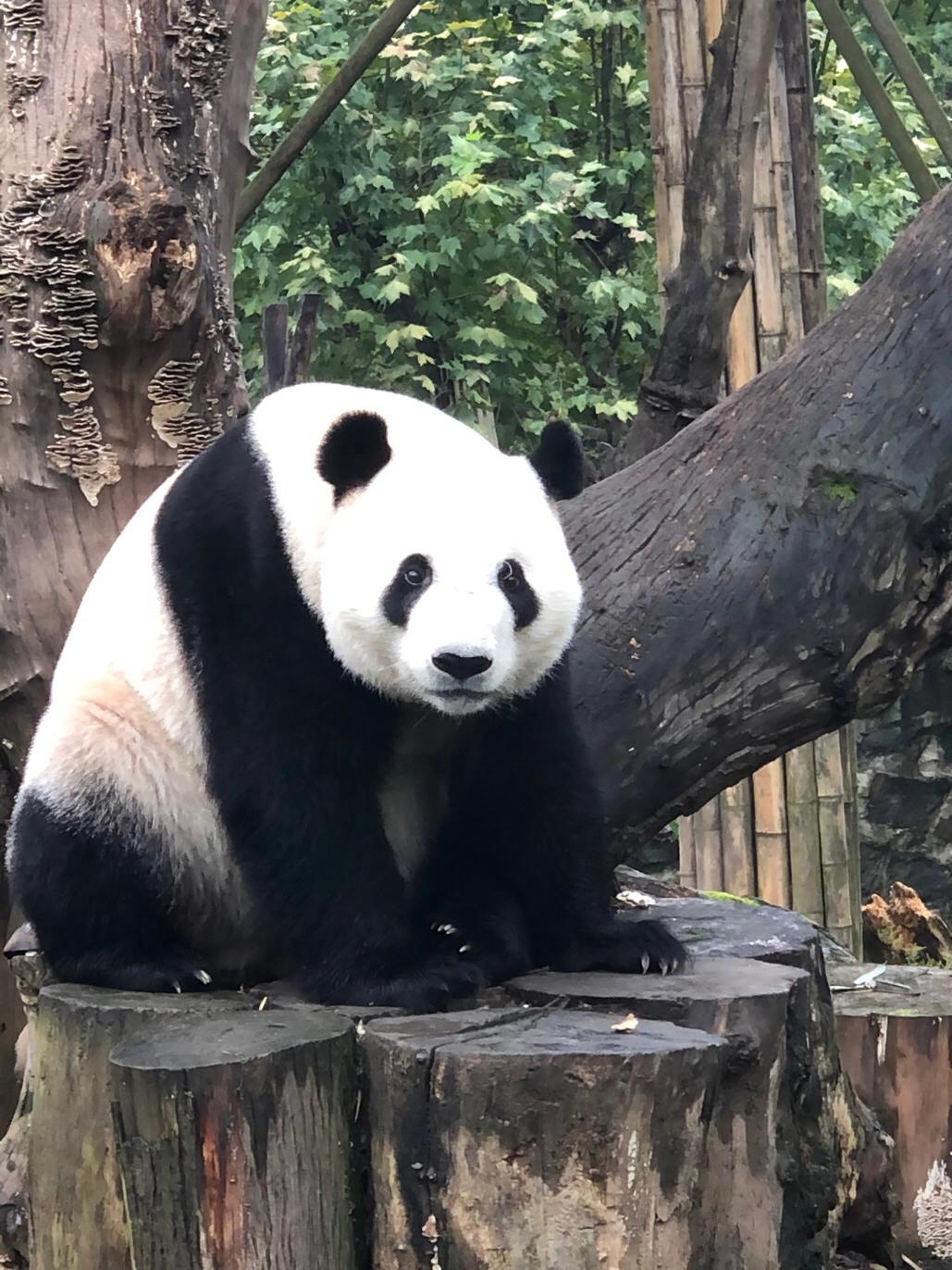 四川蜀南旅游攻略,四川趣游旅游