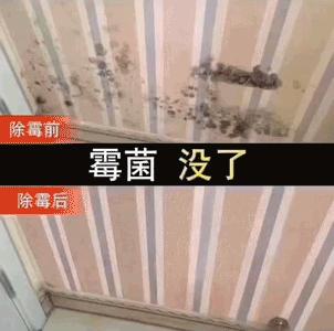 墙壁发霉用什么除霉,家里墙发霉掉皮怎么办