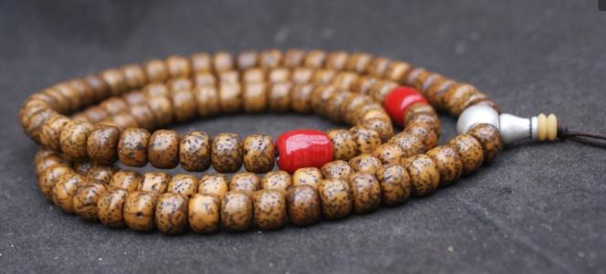 星月菩提的秘密视频,揭秘菩提子真假