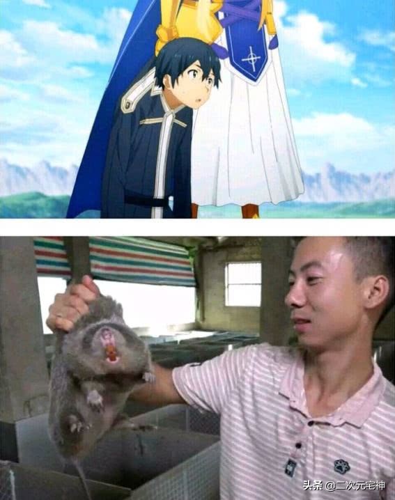 刀剑神域17话遭恶搞,电光超人爱丽丝,竹鼠桐人,亚丝娜要坚强