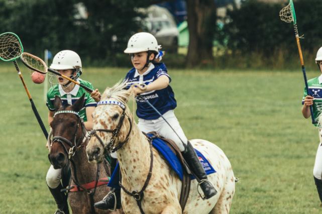 逐渐兴起的Pony和澳洲小马俱乐部体系路在何方？