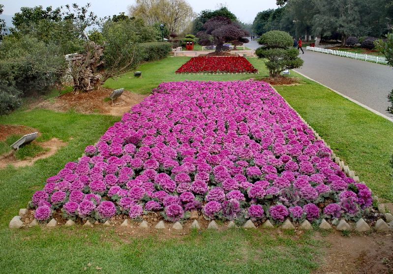 湖南长沙自驾一日游景点大全,长沙攻略五日游必去景点推荐