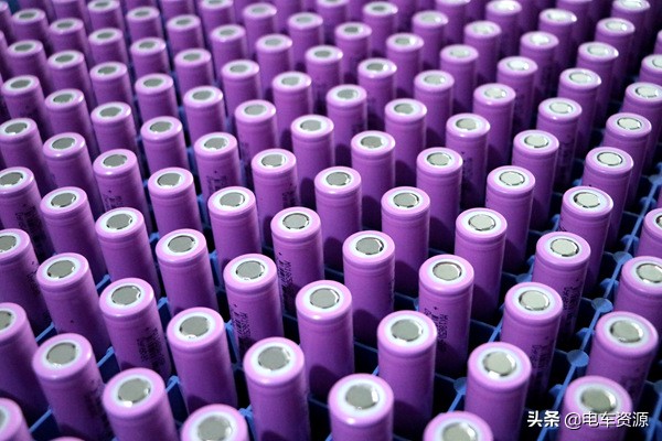 猛狮总经理王少平,猛狮科技王少平