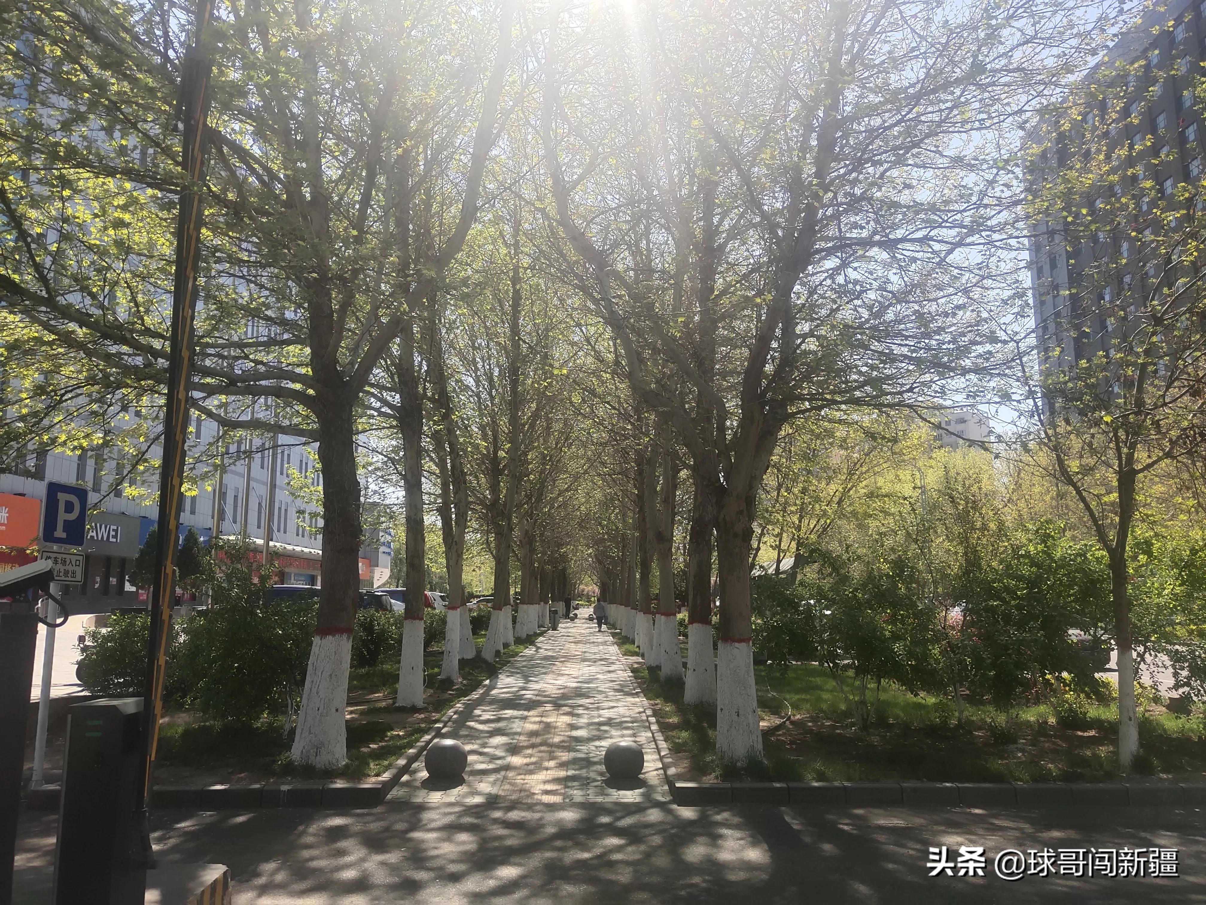 伊宁市具备成为大城市的许多条件,旅游业发达,为何仅排*疆新**第四