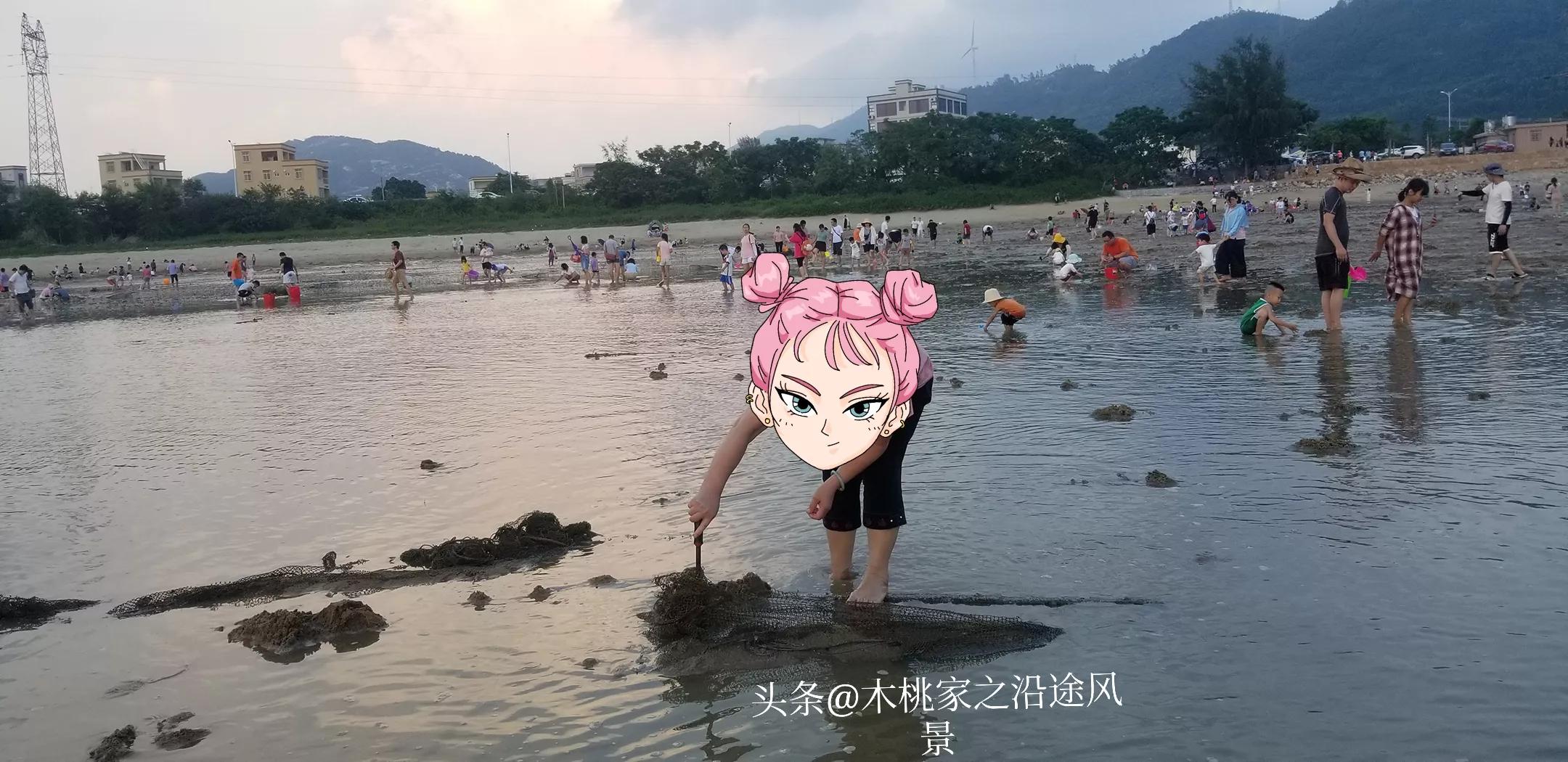 广东沙滩赶海去哪里,阳江东平镇沙滩赶海攻略