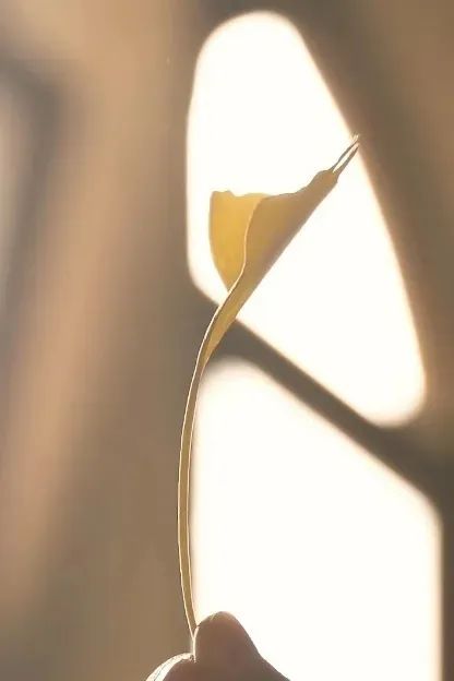 行走烟台市,行走烟台山