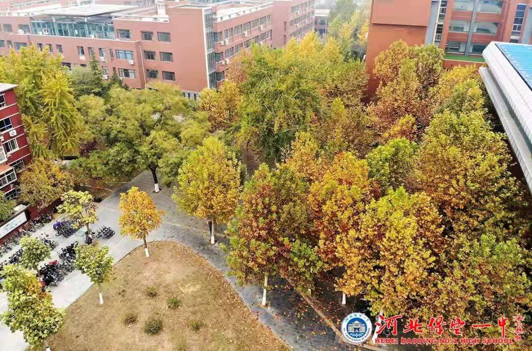 保定一中分校规划图,保定一中最新规划图