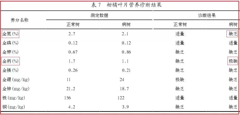 柑橘知识,柑橘常识