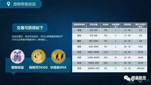 华登区块狗是什么,华登区块链