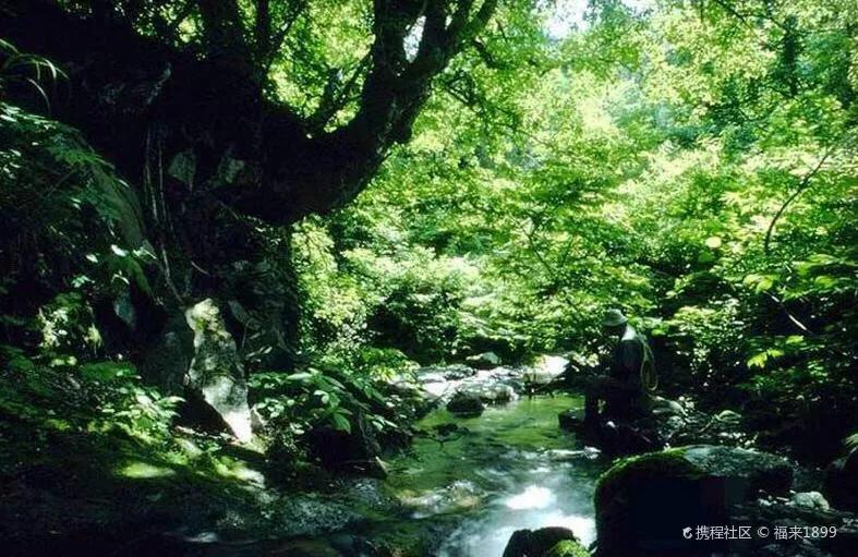 骆崃山景点,骆崃山门票
